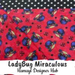 LadyBug Miraculous - Funky Lawn - Per Gaz