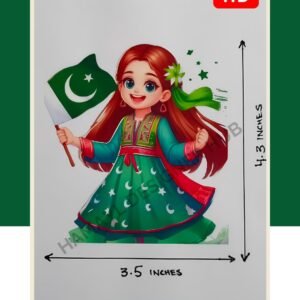 Independence Day Iron Patches Pakistan, Hamayl Designer Hub