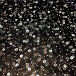 Black Net (60" width)-Black n white Flowers-Imported Net