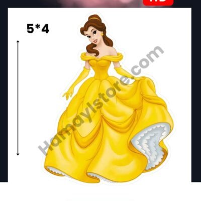 Funky Patch 249-Belle Princess Patch 5x4 Inches – Iron On Patches in Pakistan | Waterproof HD Heat Transfer for Girls Dresses