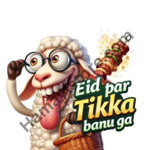 Eid par tikka banu ga funny iron on patch 5x5 inch heat transfer Pakistan