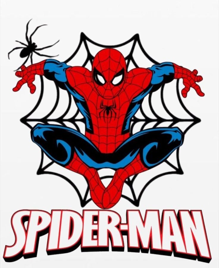 Spider – Man Web Patch – P10108 – kids cartoon iron-on patch
