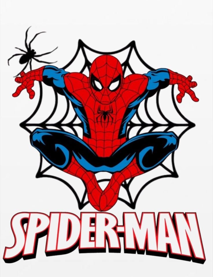 Spider-Man Web Patch – P10108 – iron-on heat transfer patch
